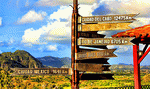Signpost Download Jigsaw Puzzle