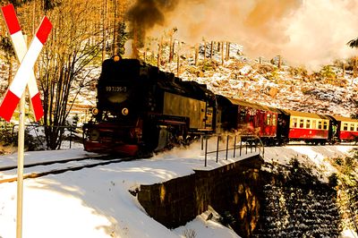 Train Download Jigsaw Puzzle