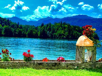 Flowers Download Jigsaw Puzzle