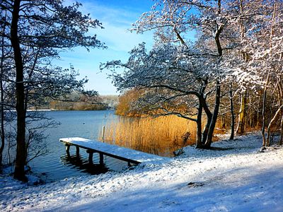 Snowy Landing Download Jigsaw Puzzle