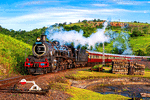 Umgeni Steam Railway Class 19D