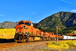 BNSF Railway ES44AC