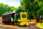 Pine Creek Railroad GE 50 ton