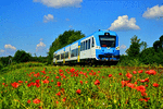 Koleje Slaskie NEWAG 221M