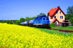 Gera Railway 233
